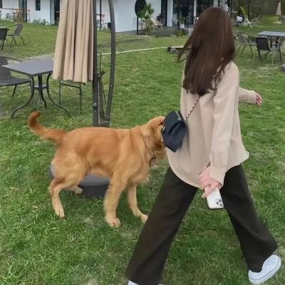 长大成人2